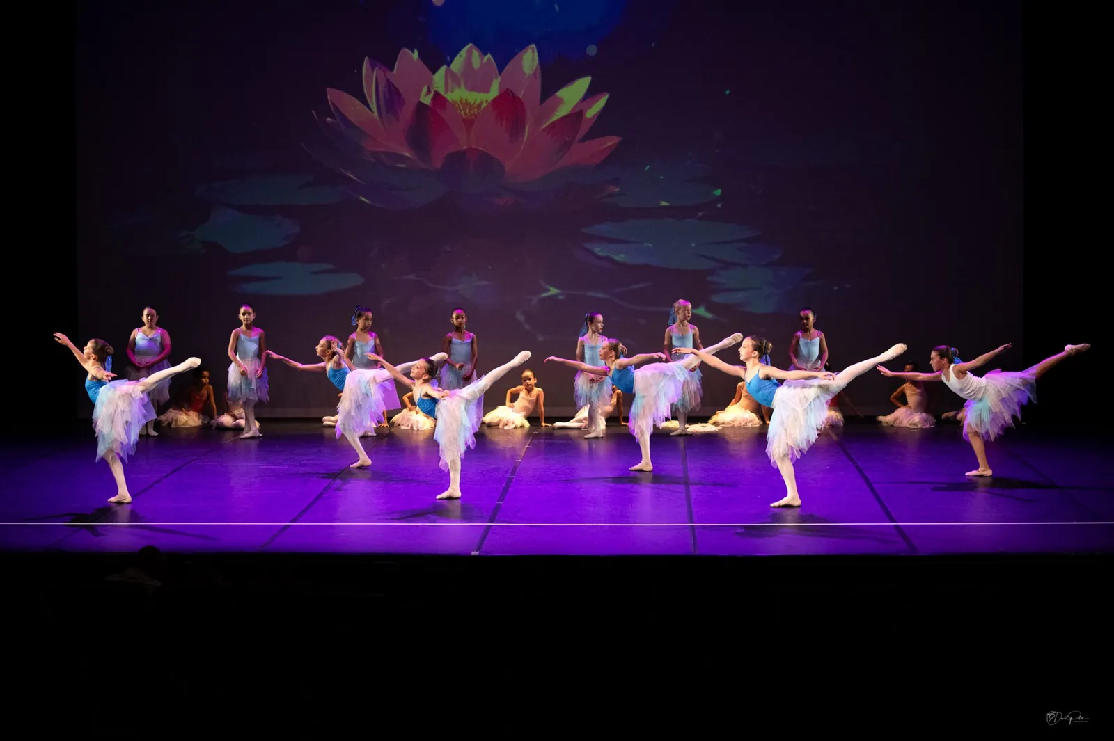 Ballet en tutus pastel devant un décor de nénuphars sur scène